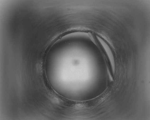 X0000074020111200608281442