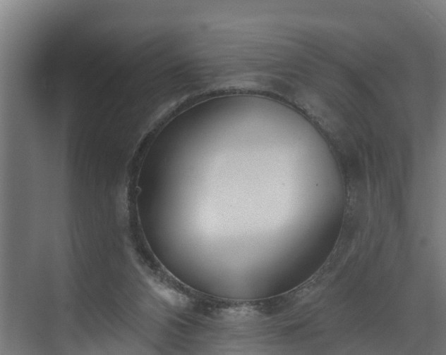 X0000074020112200608281442