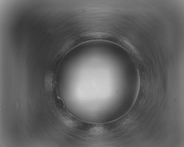 X0000074020119200608281441
