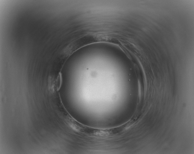 X0000074020125200608281441