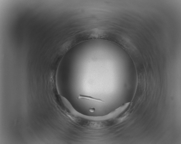 X0000074020127200608281441