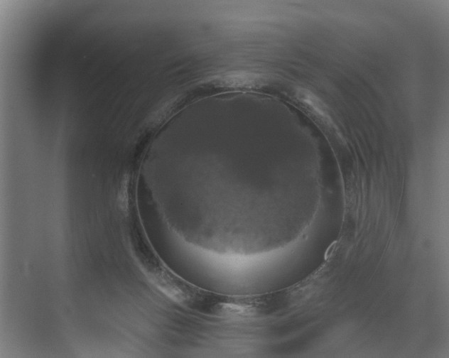X0000074020167200608281441