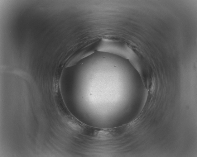 X0000074020180200608281441