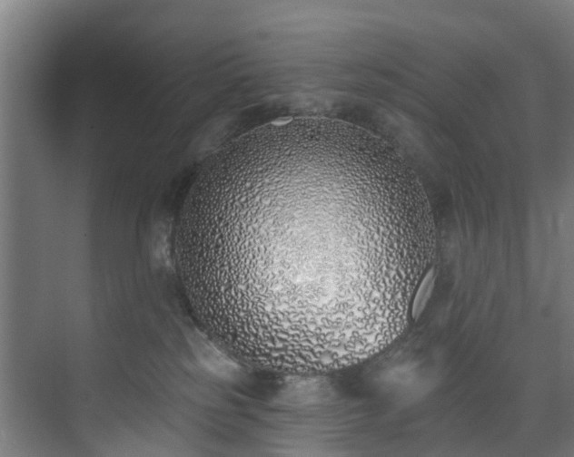 X0000074020185200608281441