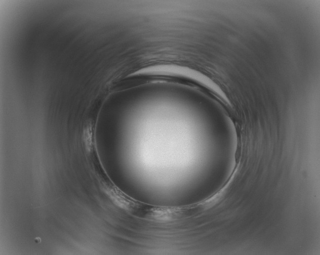 X0000074020190200608281441