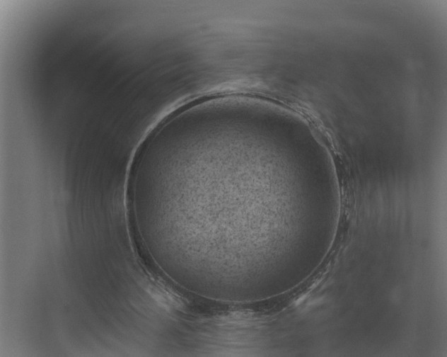 X0000074020196200608281440