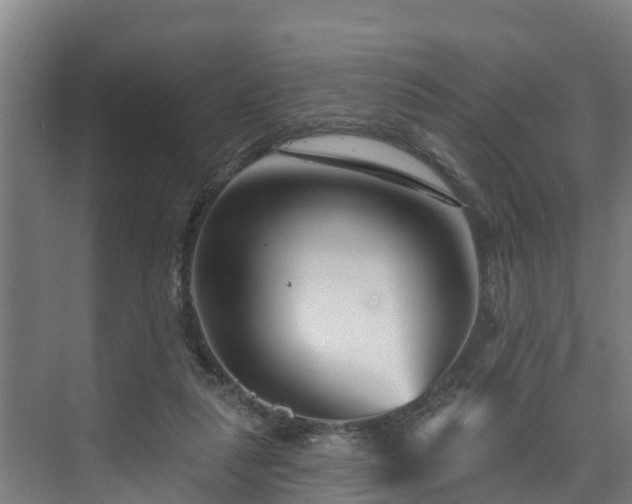X0000074020259200608281439