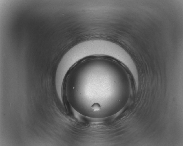 X0000074020268200608281439