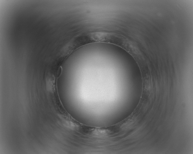 X0000074020332200608281438