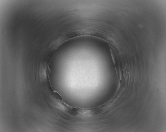 X0000074020334200608281438