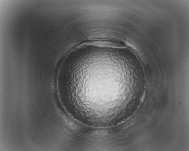 X0000074020353200608281437