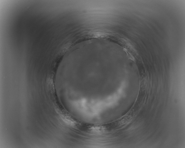 X0000074020415200608281436
