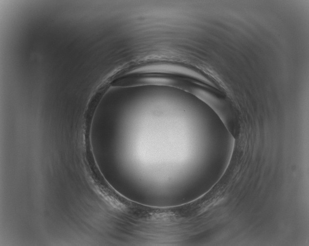 X0000074020446200608281436