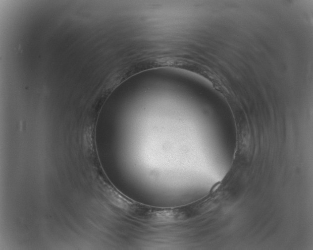 X0000074020473200608281436