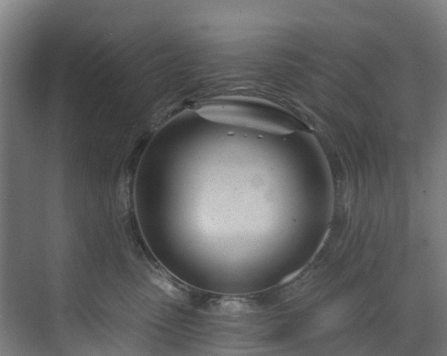 X0000074020475200608281436