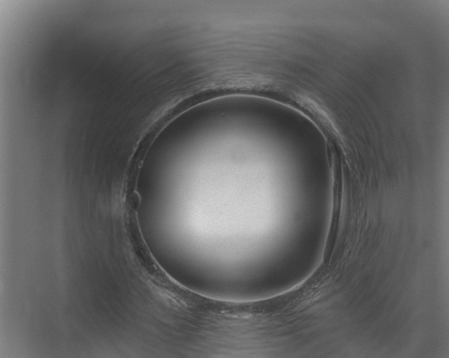 X0000074020483200608281435