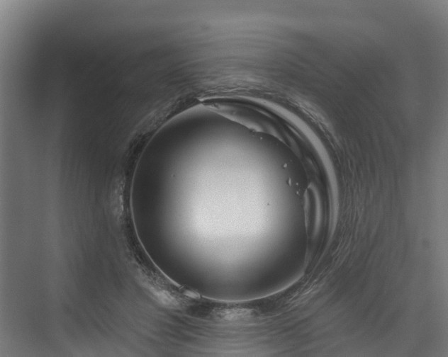 X0000074020501200608281435