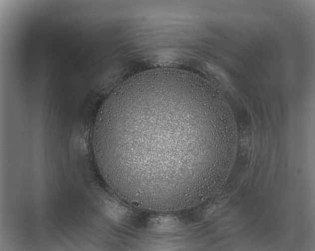 X0000074020503200608281435