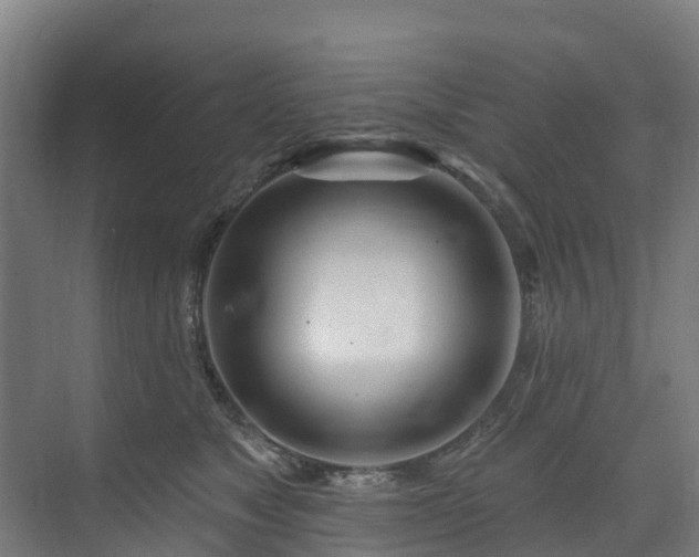 X0000074020517200608281435