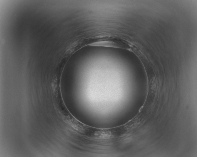 X0000074020559200608281434
