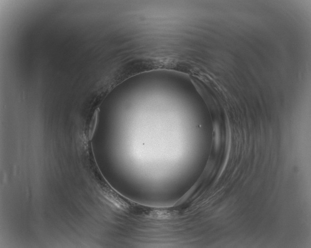 X0000074020613200608281433