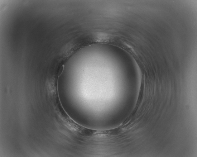 X0000074020620200608281433