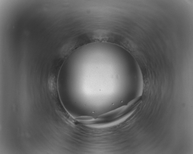 X0000074020623200608281433