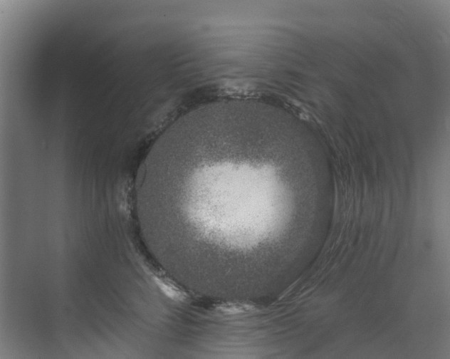 X0000074020712200608281431