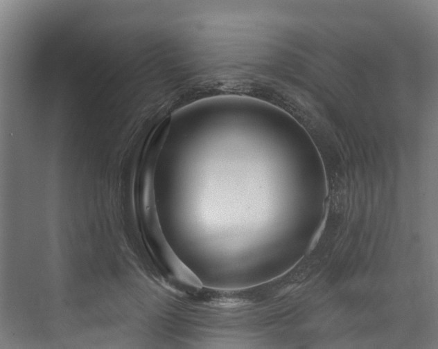 X0000074020748200608281431