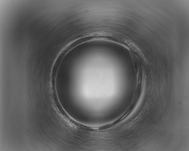 X0000074020784200608281430