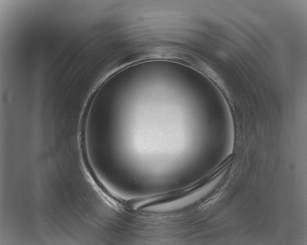 X0000074020803200608281430