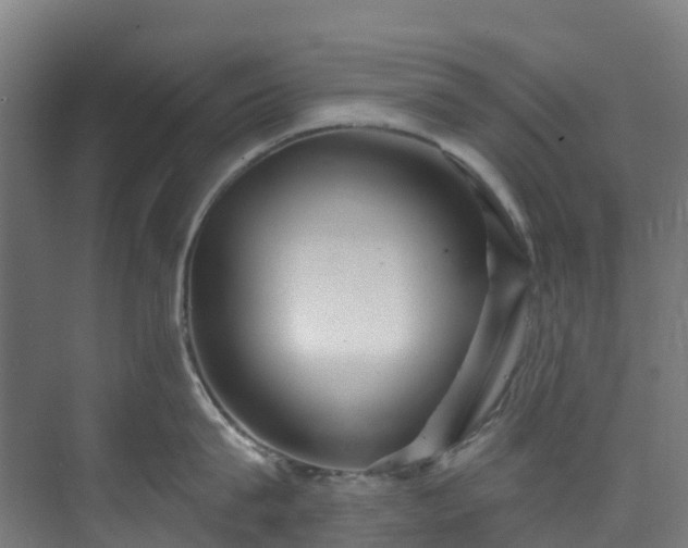 X0000074020815200608281430