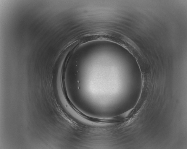 X0000074020826200608281429