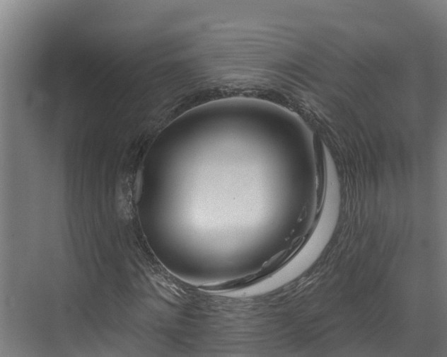 X0000074020868200608281429