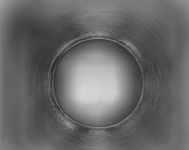 X0000074020886200608281429
