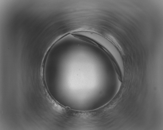 X0000074020900200608281428