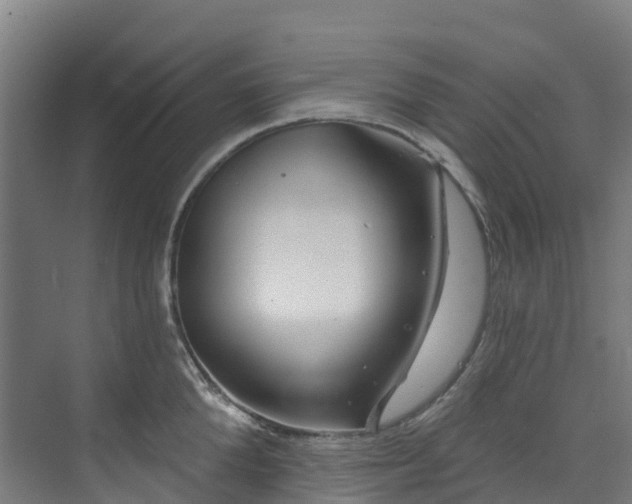 X0000074020904200608281428