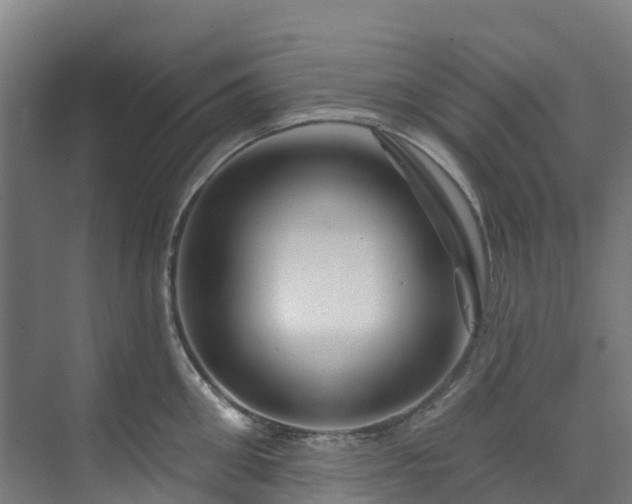 X0000074020906200608281428
