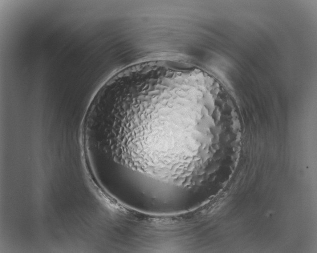 X0000074020907200608281428