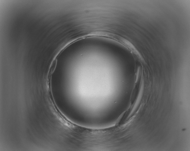 X0000074020908200608281428
