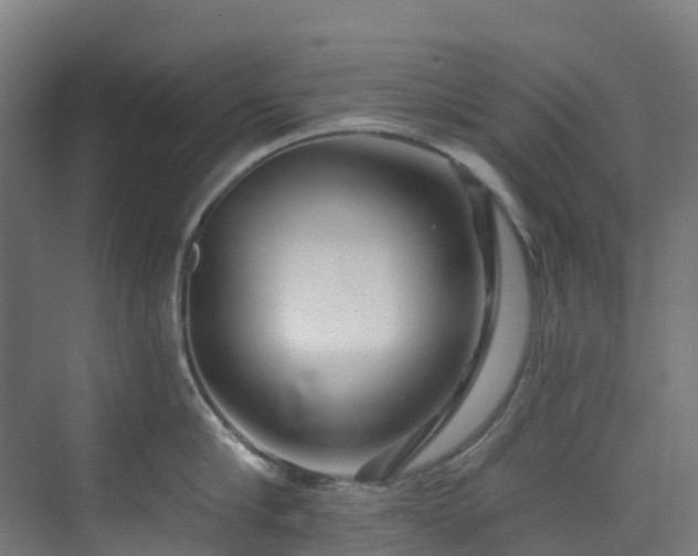 X0000074020910200608281428