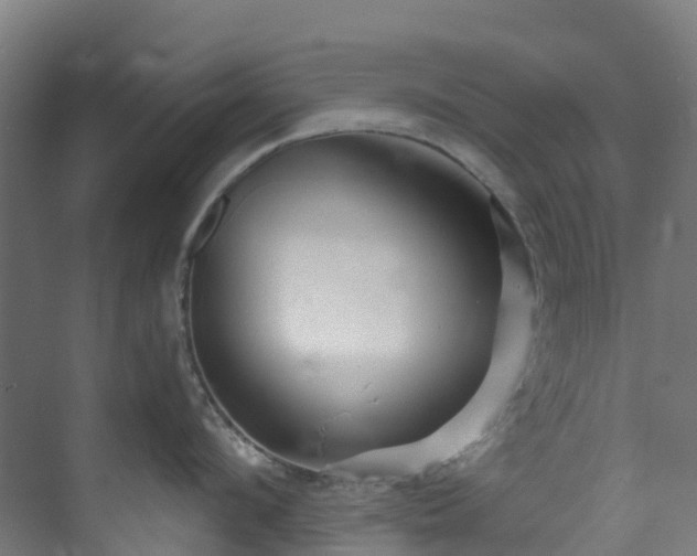X0000074020912200608281428