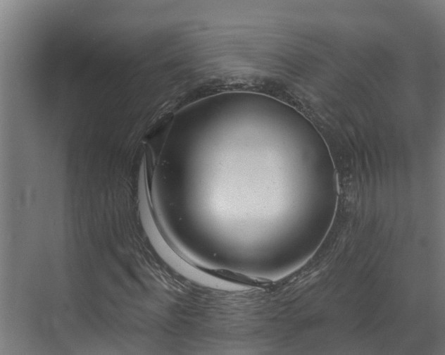 X0000074020916200608281427