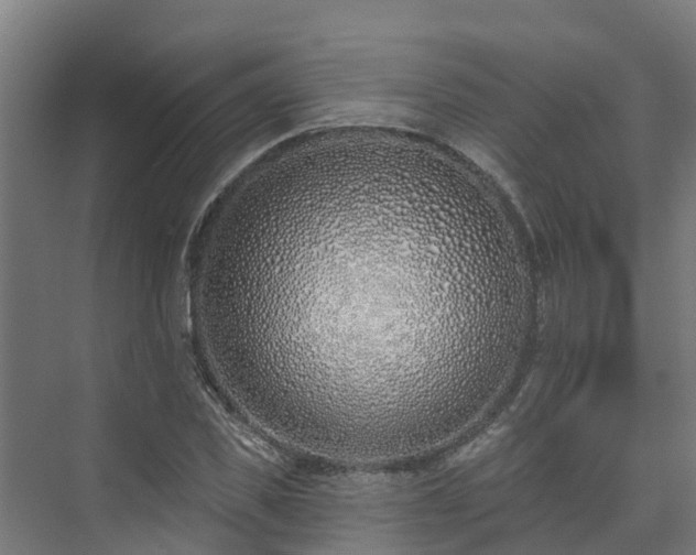 X0000074020925200608281427
