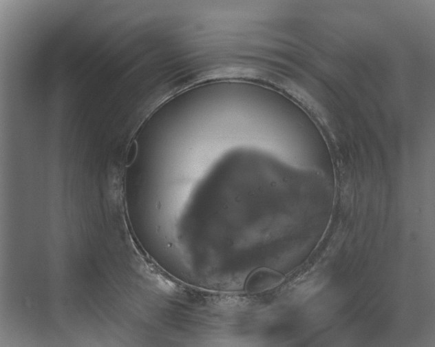X0000074020945200608281428