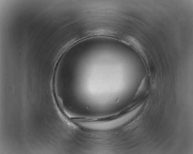 X0000074020946200608281428