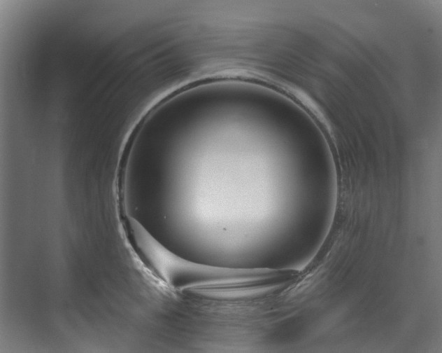 X0000074020951200608281428