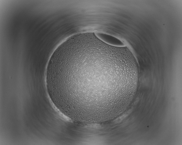 X0000074020957200608281428