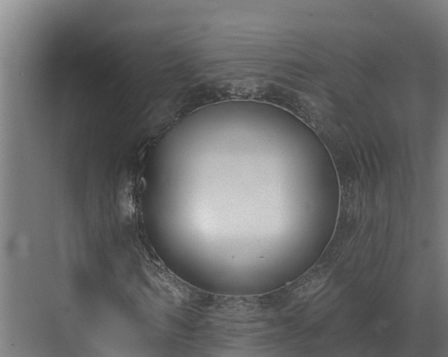 X0000074020962200608281427