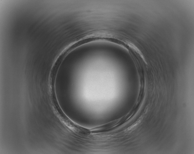 X0000074020981200608281427